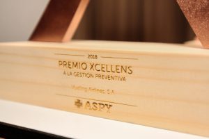 Xcellens Empresa Vueling 2018